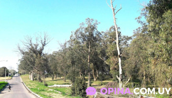 Asti Propiedades - Montevideo