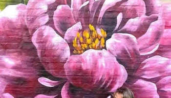 Atelier de arte Mikele - Maldonado