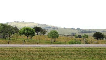 Audiobible - 20000 San Carlos Audiobible - 20000 San Carlos