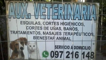 Auxiliar veterinaria - 20000 Maldonado
