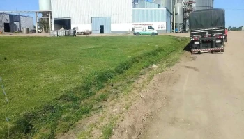 Avícola el Canario - 6