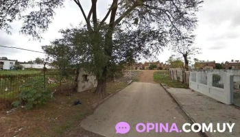 Báez Bienes Raíces - Montevideo