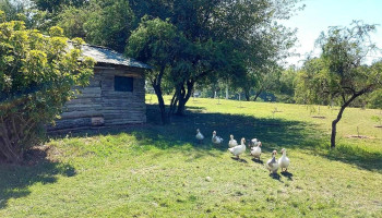 Balneario Las Toscas - Camino A La Meseta De Artigas