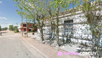 Bar Camerun - San Bautista Bar Camerun - San Bautista