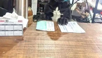 Bar lo de Pablo - Montevideo Bar lo de Pablo - Montevideo