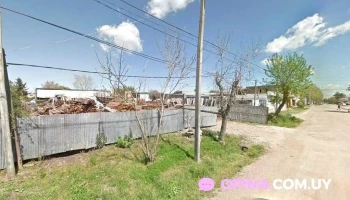 Bar Raidista - San Bautista Bar Raidista - San Bautista