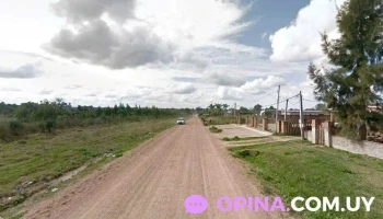 Barber_Men - 15600 Pando