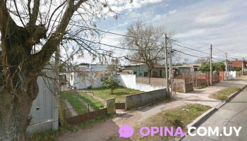 Barbería El Halcón - 12900 Montevideo