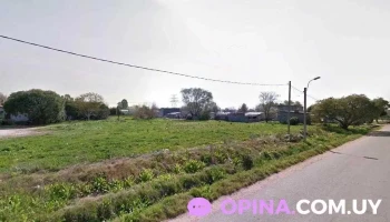 Barbería Lm - Cam. Benito Berges