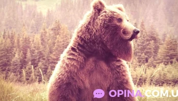 Barbudos Uruguay - Soriano 1237