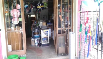 Barraca Alianza - Rivera