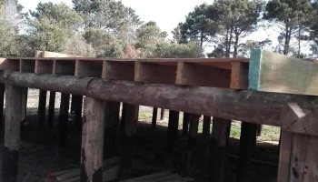 Barraca Barrios - La Paloma