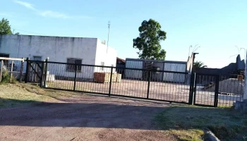 Barraca Burgueño - Montevideo