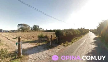 Barraca de leña La Lucha - Montevideo Barraca de leña La Lucha - Montevideo