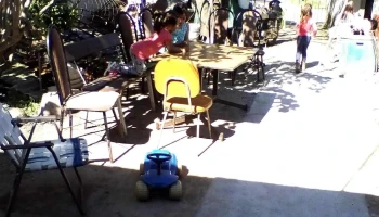 Barraca de Leña Las 3b - Florida