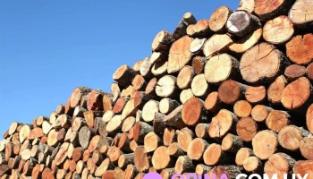 Barraca De Leña, Nuestra Esperanza - Montevideo