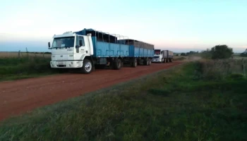 Barraca Erro S.a. - Check Point Nueva Palmira - Nueva Palmira