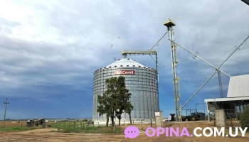 Barraca Falero - Florencio Sánchez