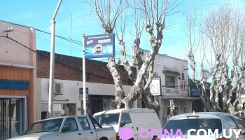 Barraca Ream - Treinta Y Tres