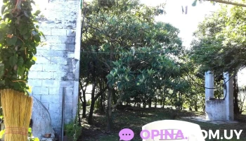 Barraca Y Ferreteria Rubens - José Batlle Y Ordóñez