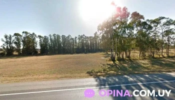 Bazar Maret - Empalme Olmos