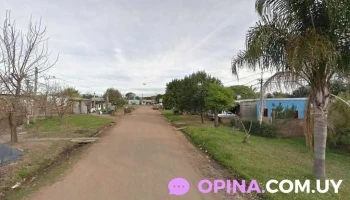 Ben Pereira Barbería - Oficial 1 Ben Pereira Barbería - Oficial 1