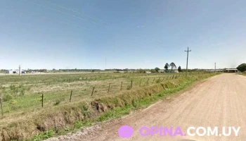 Bety Stylo - Libertad