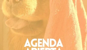 Bichera Peluquería Canina - 94000 Florida