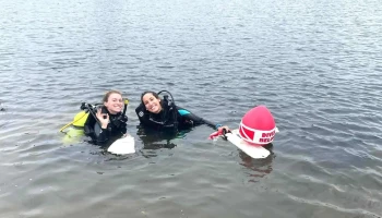 Blue Diving - Montevideo