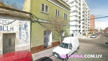 Blue Raven tea shop - Maldonado Blue Raven tea shop - Maldonado