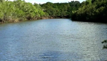 Bomba Antigua Arroyo Parao - Vergara