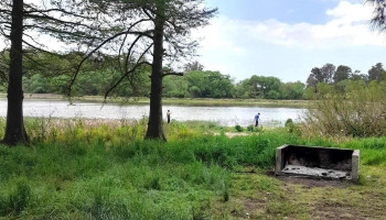 Bosque del embalse Canelon Grande - Canelones