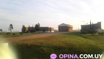 Bpu Meat - Rincón 487