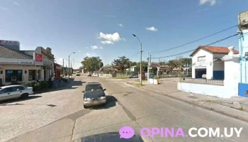 Brisa Mascotas - 11400 Montevideo