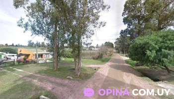 Budokan Dojo ShinShuKan - Pajas Blancas