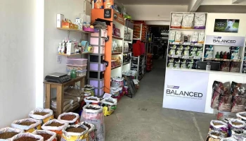 Buffett Mascotas - 12100 Montevideo