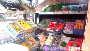 ByM frutas verduras y mas - 50000 Salto