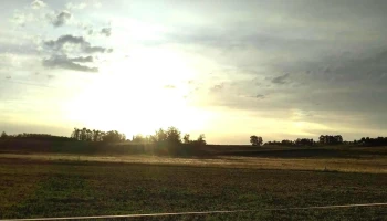 Cabaña Ñaro - Montes Cabaña Ñaro - Montes