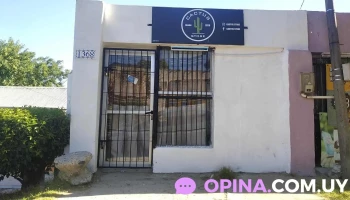 Cactus Store - 60000 Paysandú