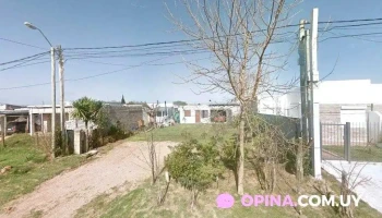 Cada Flor - Maldonado Cada Flor - Maldonado