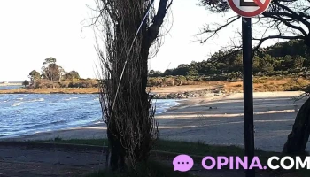 Caif Kelé Kelé - Pajas Blancas Caif Kelé Kelé - Pajas Blancas