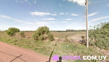 Caif Una Pindó - Nueva Palmira