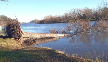 Calistro Mercedes - 12100 Montevideo