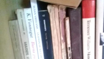 Cambalache Leonardo Librero - Parque Del Plata