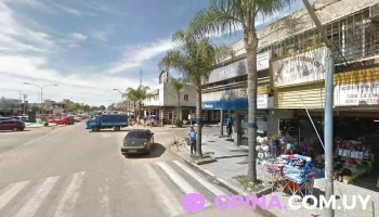 Cambilex - Chuy Cambilex - Chuy