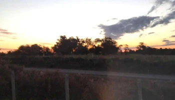 Camino - Carr Al Paso De La Cruz