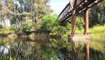 Campamento escolar Raigón - Raigon