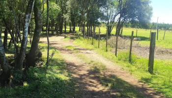 Camping el Chaja - Departamento De Rivera