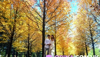 Camping Universitario - Artigas