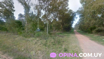 Camping Yemanja - Avenida Vicente Costa